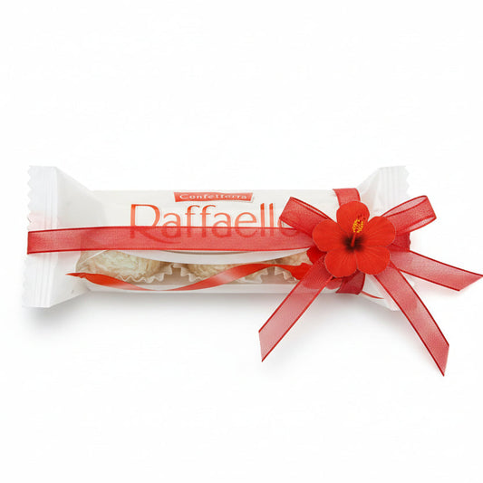 Raffaello T3 480G