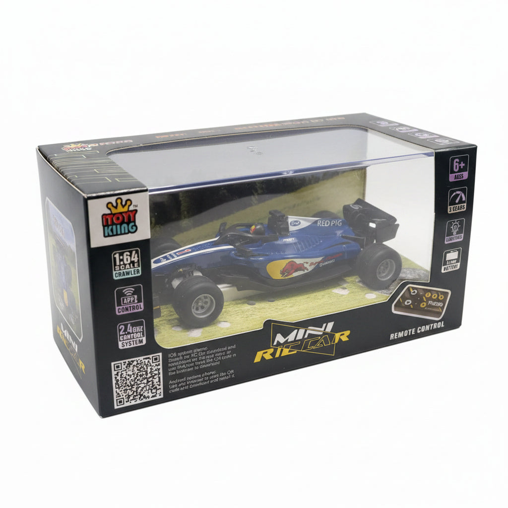 Mini R/C Formula Racing Car